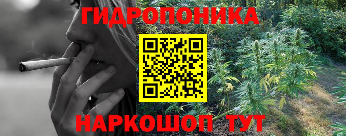 Шишки марихуана SATIVA & INDICA  Шишки марихуана сатива  Вход с VPN  Казань  Канабис Ganja 